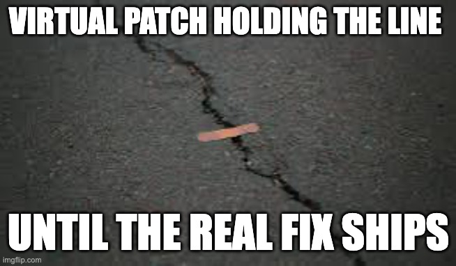 Virtual patching is a tourniquet, not a cure
