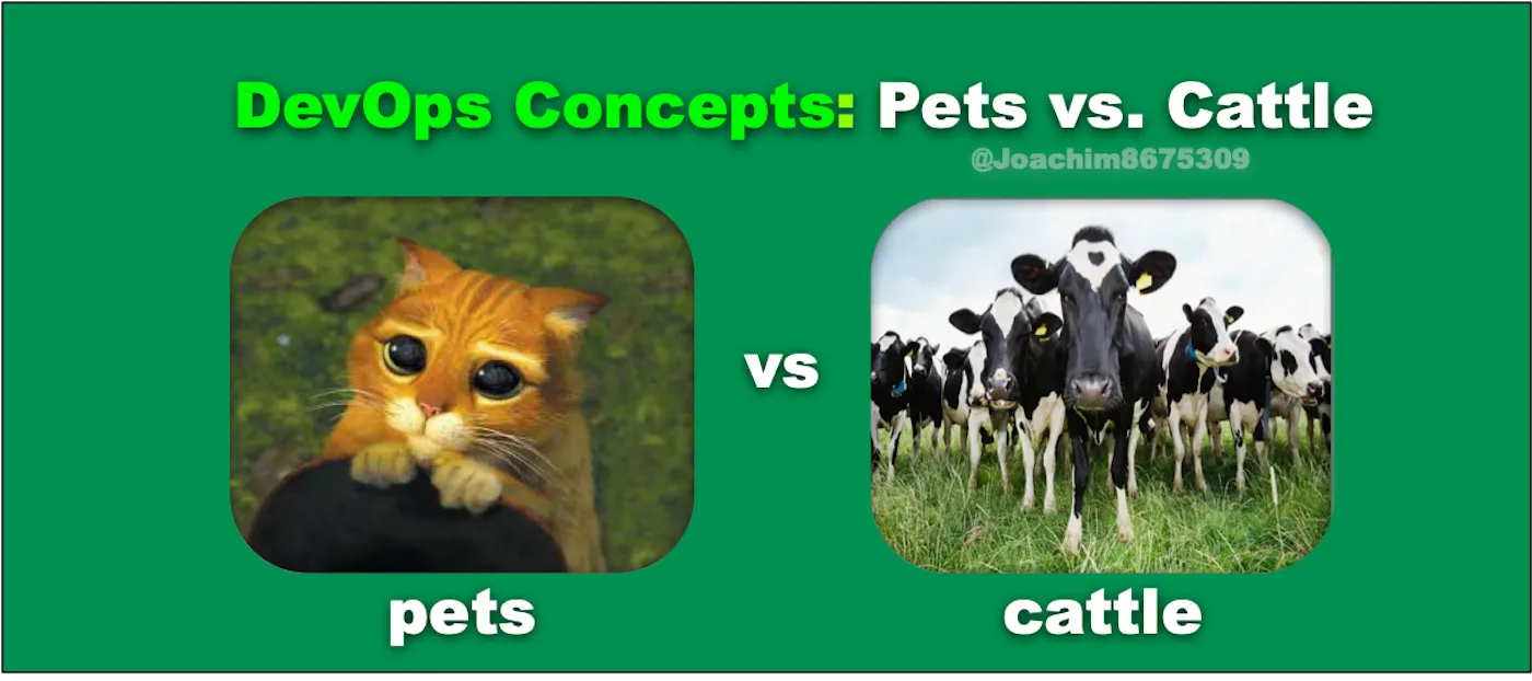 cattle not pets