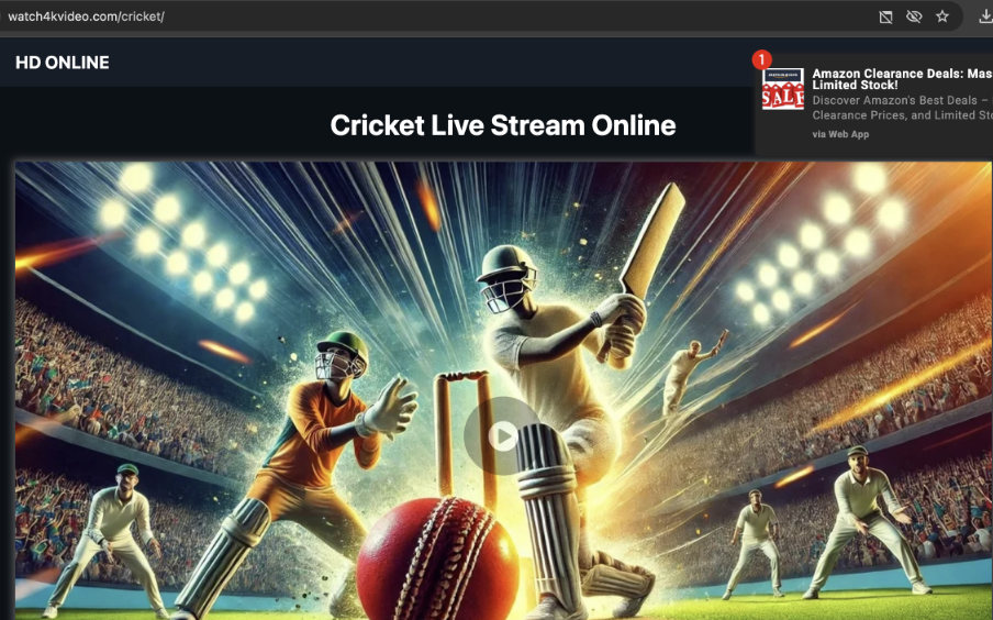 Scam streaming website