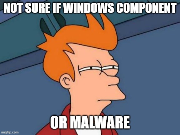 not sure if Windows component… or malware